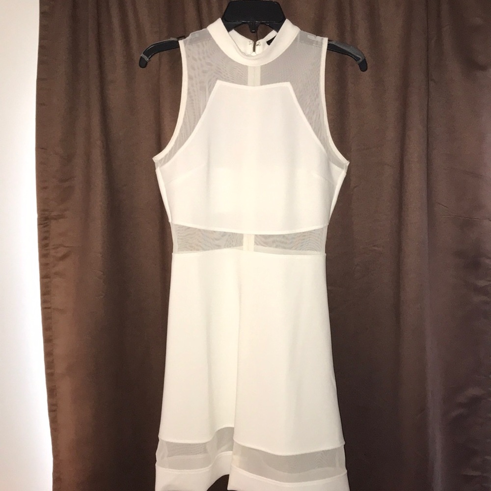 Topshop Mesh Dress